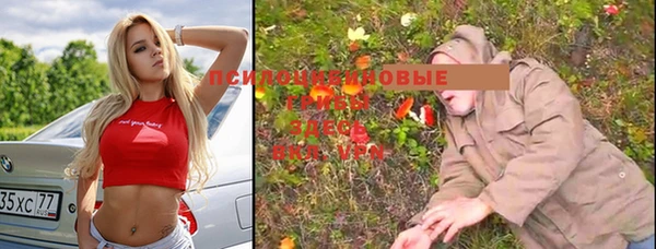 apvp Дмитриев