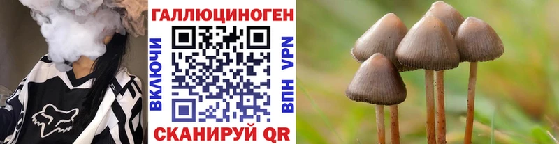 Купить  Каменск-Уральский  Галлюциногенные грибы Psilocybine cubensis 